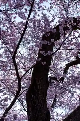 新城藤原神社(長野県)
