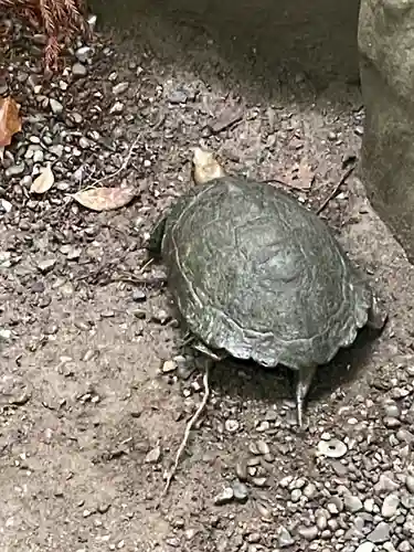 伊勢神宮外宮（豊受大神宮）(三重県)