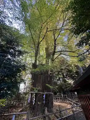 大國魂神社(東京都)