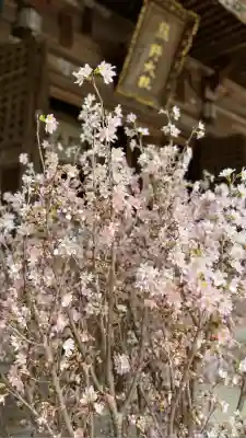 熊野大社(山形県)