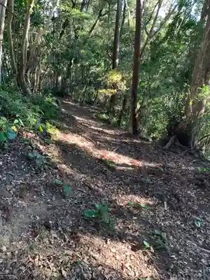 莫越山神社奥宮の周辺