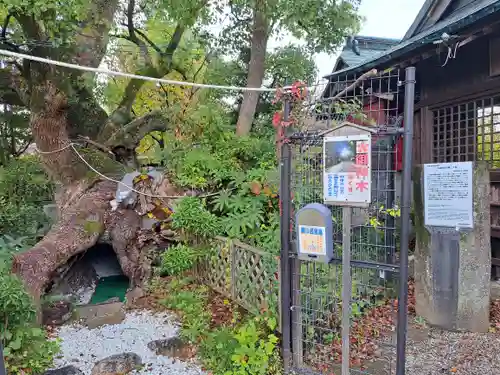 牛嶋天満宮(佐賀県)