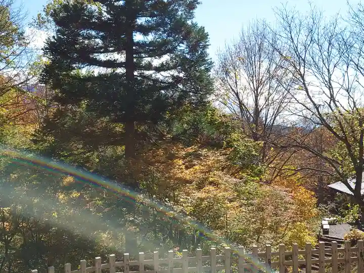 戸隠神社奥社(長野県)