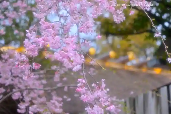 伊勢山皇大神宮(神奈川県)