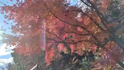 勝林寺(京都府)