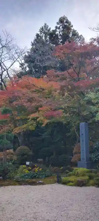 龍潭寺(静岡県)