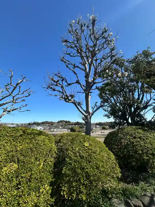 宝帒寺の{uncategorized: "未分類", other: "その他", undefined: "問題あり", building: "その他建物", grave: "お墓", sacred_gate: "鳥居", guardian: "狛犬", statue: "像", buddha: "仏像", history: "歴史", nature: "自然", garden: "庭園", animal: "動物", pagoda: "塔", temizu: "手水舎", mountain_gate: "山門・神門", sanctuary: "本殿・本堂", subordinate: "末社・摂社", art: "芸術", scenery: "景色", jizo: "地蔵", ema: "絵馬", goshuin: "御朱印", omikuji: "おみくじ", items: "授与品その他", amulet: "お守り", goshuincho: "御朱印帳", eats: "食事", festival: "お祭り", votive_dance: "神楽", shichigosan: "七五三参", wedding: "結婚式", experience: "体験その他", initially: "初詣", around: "周辺", anti_infection: "感染症対策"}