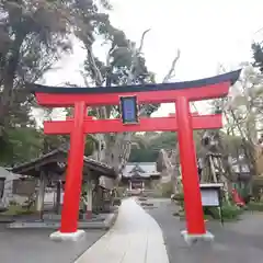 伊古奈比咩命神社の鳥居