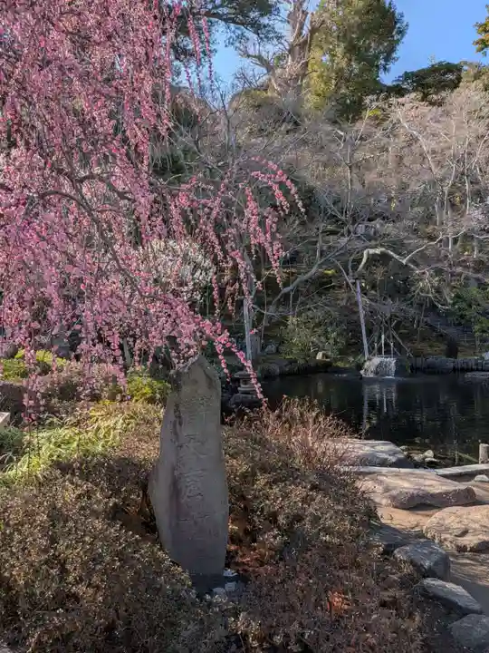 長谷寺(神奈川県)