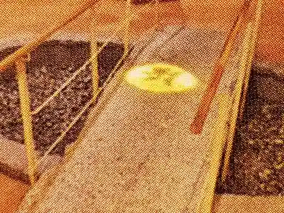 成田山深川不動堂（新勝寺東京別院）のその他建物