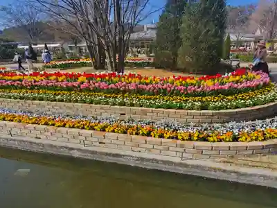 寺岡山元三大師(栃木県)