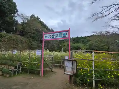 安倍文殊院 (奈良県)