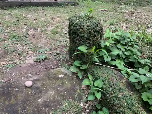 八幡神社の自然