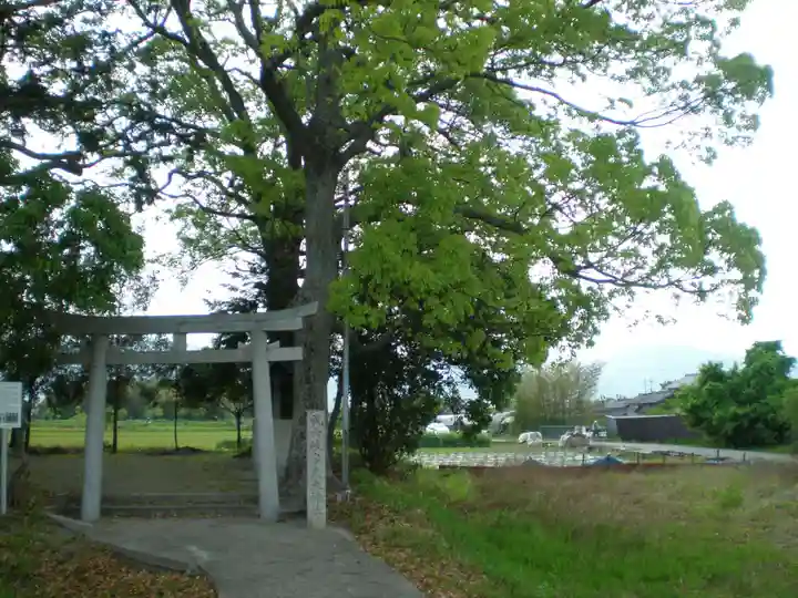 岐多志太神社(村屋坐彌冨都比賣神社摂社)の鳥居