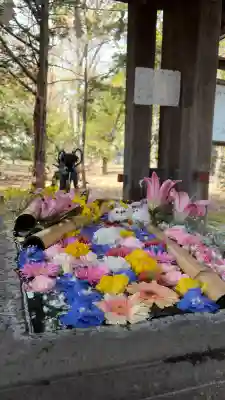 札幌護國神社の手水舎