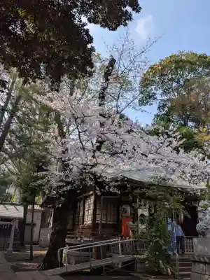 神明氷川神社(東京都)