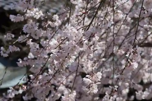 水無瀬神宮(大阪府)