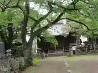 浄泉寺(栃木県)