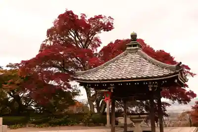 善峯寺(京都府)