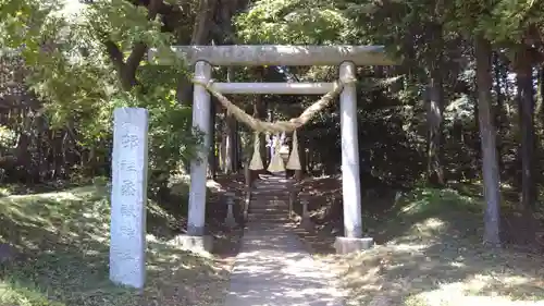 烝殿神社の鳥居