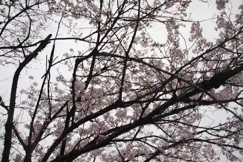 正ノ木稲荷 稲積神社の自然