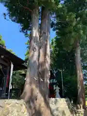 高司神社〜むすびの神の鎮まる社〜の自然