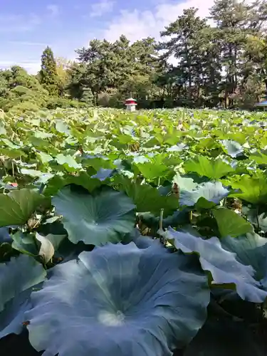 白山神社(新潟県)