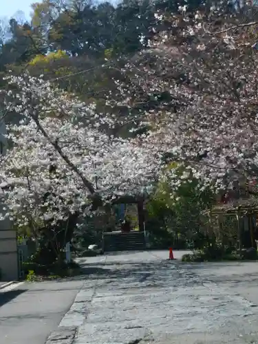 光則寺の景色