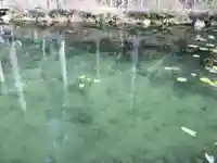 根道神社(岐阜県)