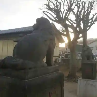 白髭神社の狛犬
