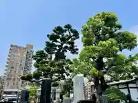 長円寺(静岡県)