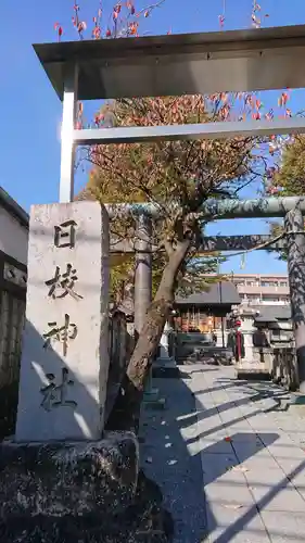 日枝神社の鳥居