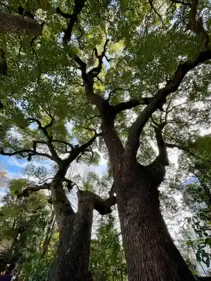 久遠寺(神奈川県)