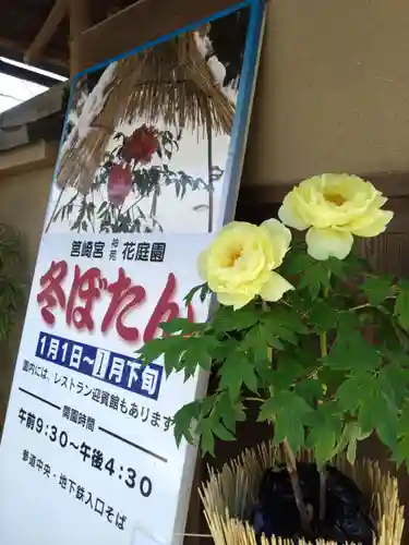 筥崎宮(福岡県)