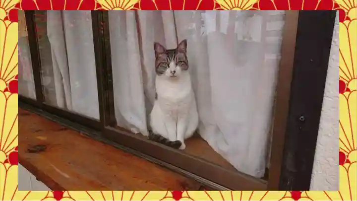 於菊稲荷神社(群馬県)