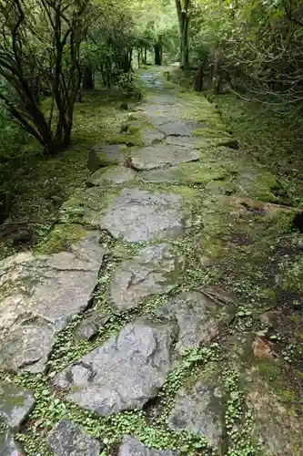 石山寺の自然