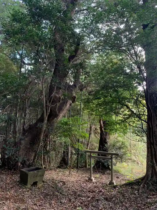 妙見神社(千葉県)