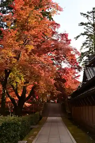 永源寺(滋賀県)