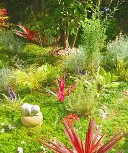 寿量山 速成寺の自然(2020年09月28日(月) 19時16分52秒投稿)