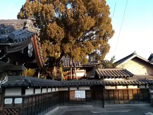 光明寺のその他建物