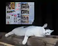 今市報徳二宮神社の御朱印