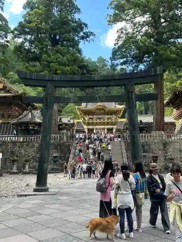 日光東照宮(栃木県)