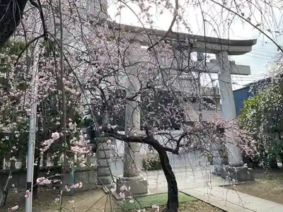 川口神社(埼玉県)