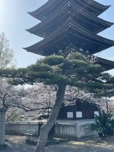 覚王山 日泰寺(愛知県)
