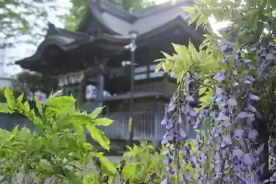 滝野川八幡神社(東京都)