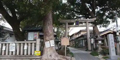 山王神社の自然