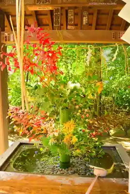 赤坂氷川神社(東京都)