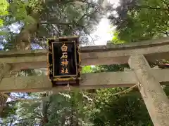 白石神社の鳥居