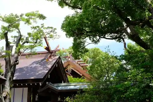 和泉國一之宮　大鳥大社の本殿・本堂