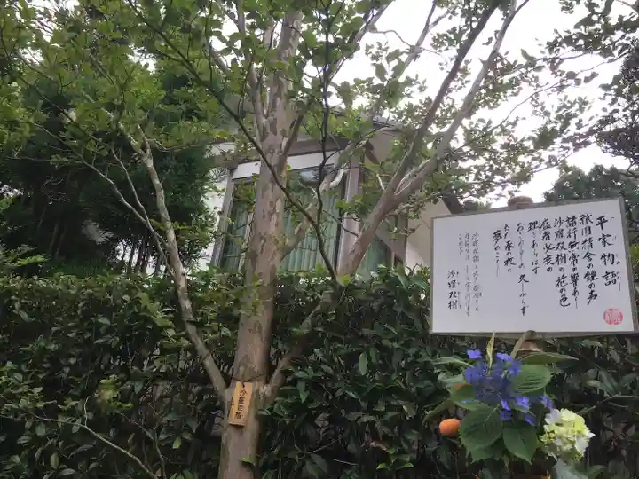 明月院(神奈川県)